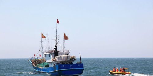 开捕报喜 江苏海洋渔业资源好转,启东渔民捕获黄鱼售价1.8万